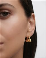 Pendientes PDPaola Mujer THE NEW ESSENTIALS in Plata AR01-C85-U - AR01-C85-U